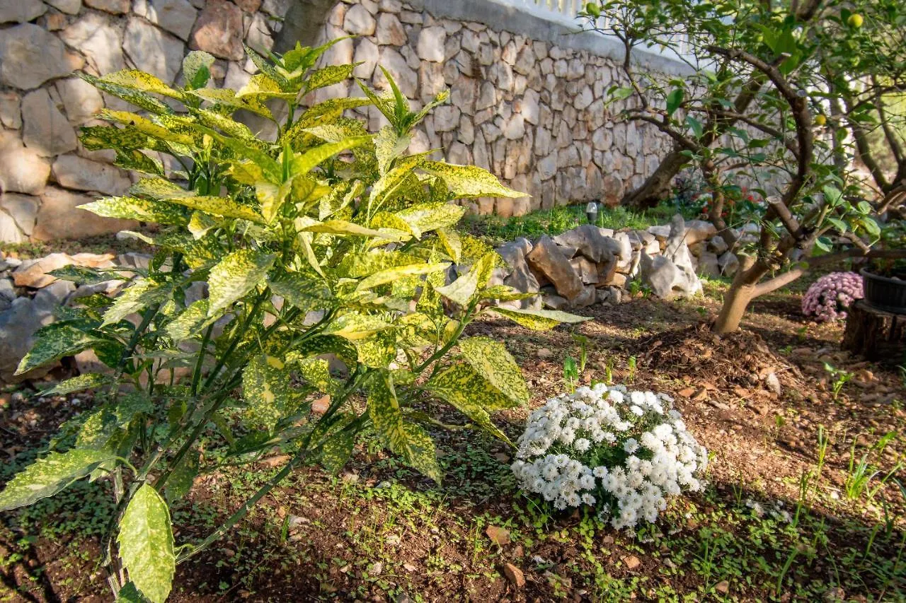 Apartman Villa Mira